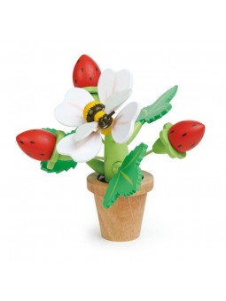 POT DE FLEURS AVEC FRAISES