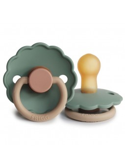 SUCETTE FRIGG DAISY...