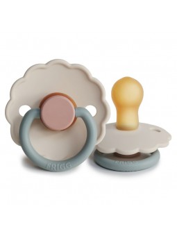 SUCETTE DAISY BLOOM  -...